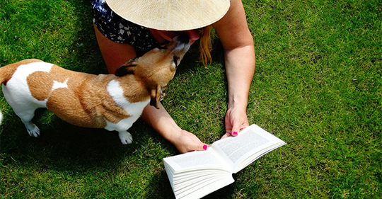 Off The Shelf’s Feel-Good Novels List